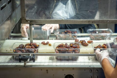 Close-up image of workers packing dates with gloves in a factory setting.